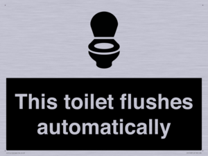 This toilet flushes automatically